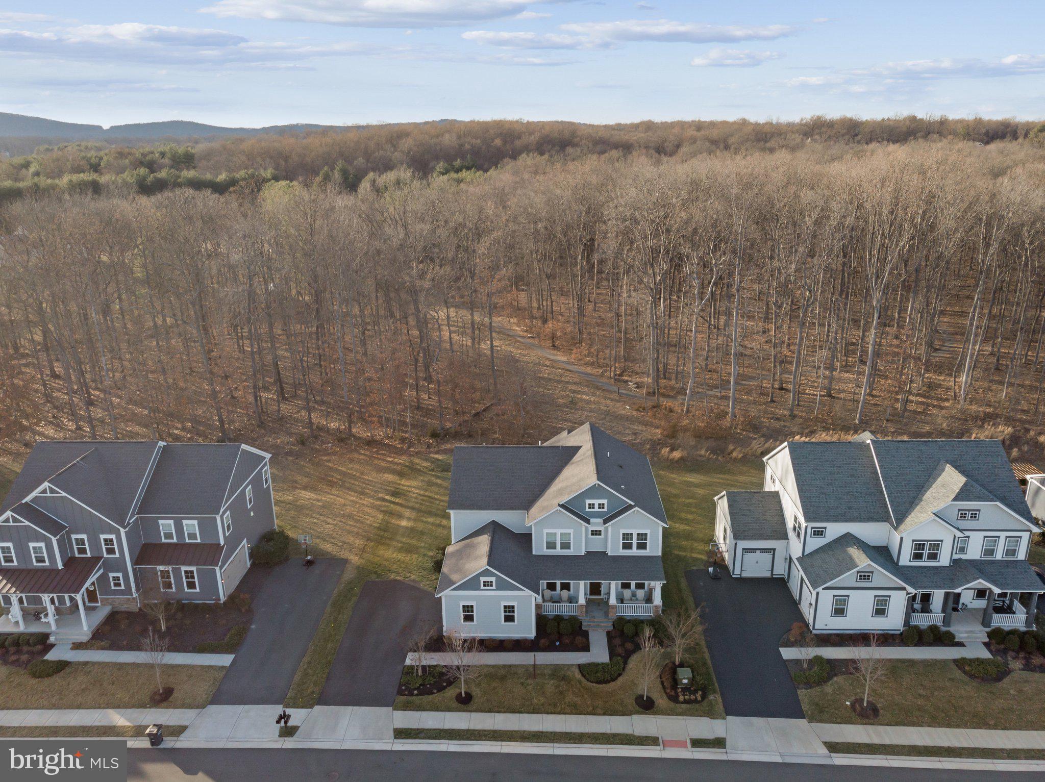 GROVE AT WILLOWSFORD - Residential