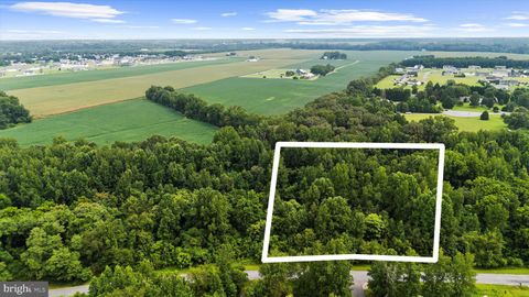Vacant Land For Sale - Burnt Mill Road<br/> RIDGELY, MD 21660