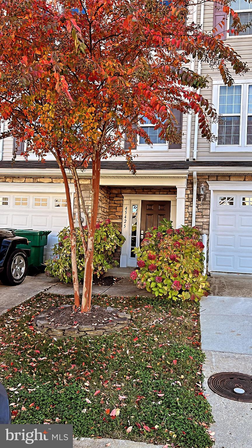 BEVERLY HILLS - Residential