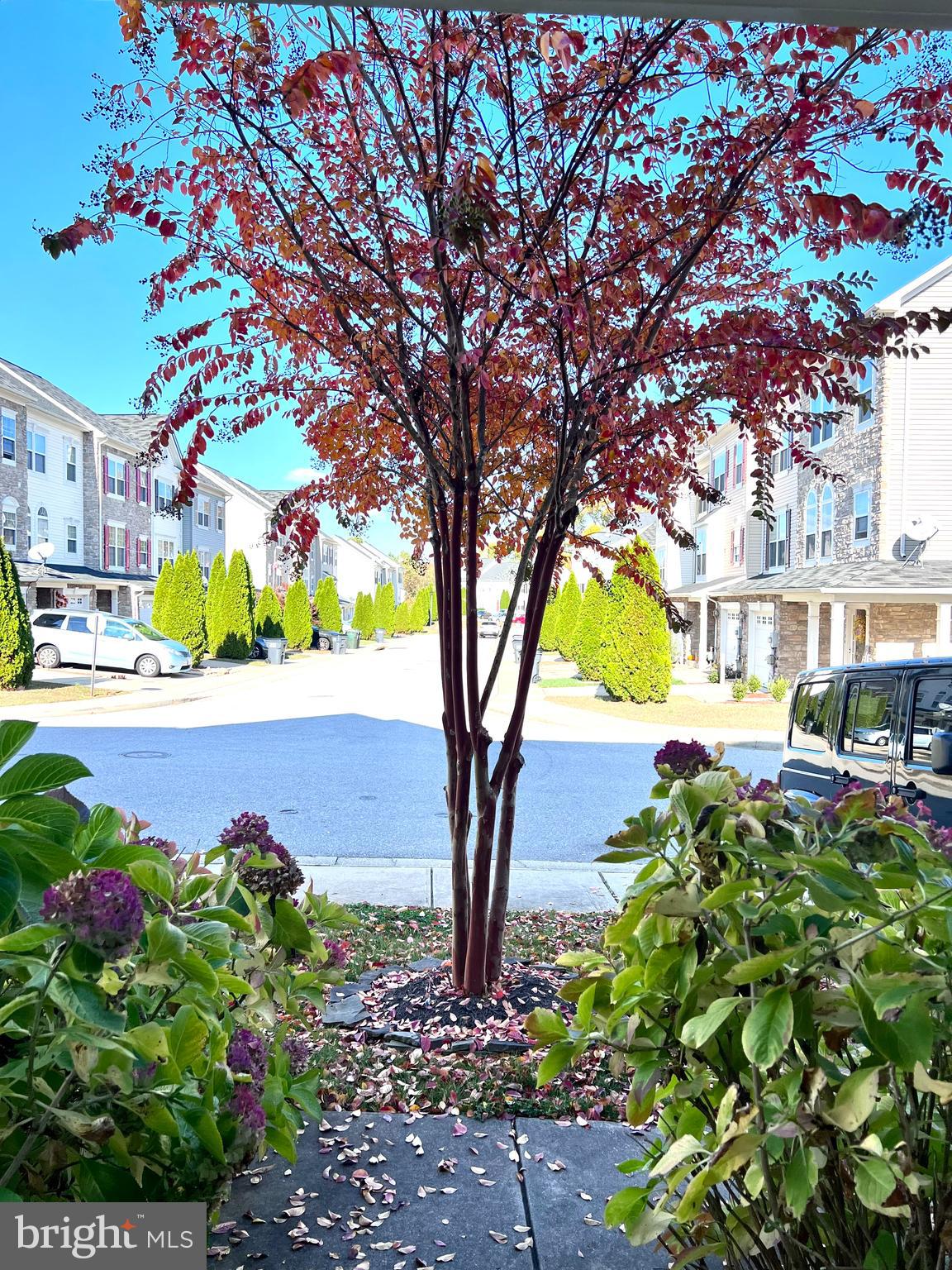 BEVERLY HILLS - Residential