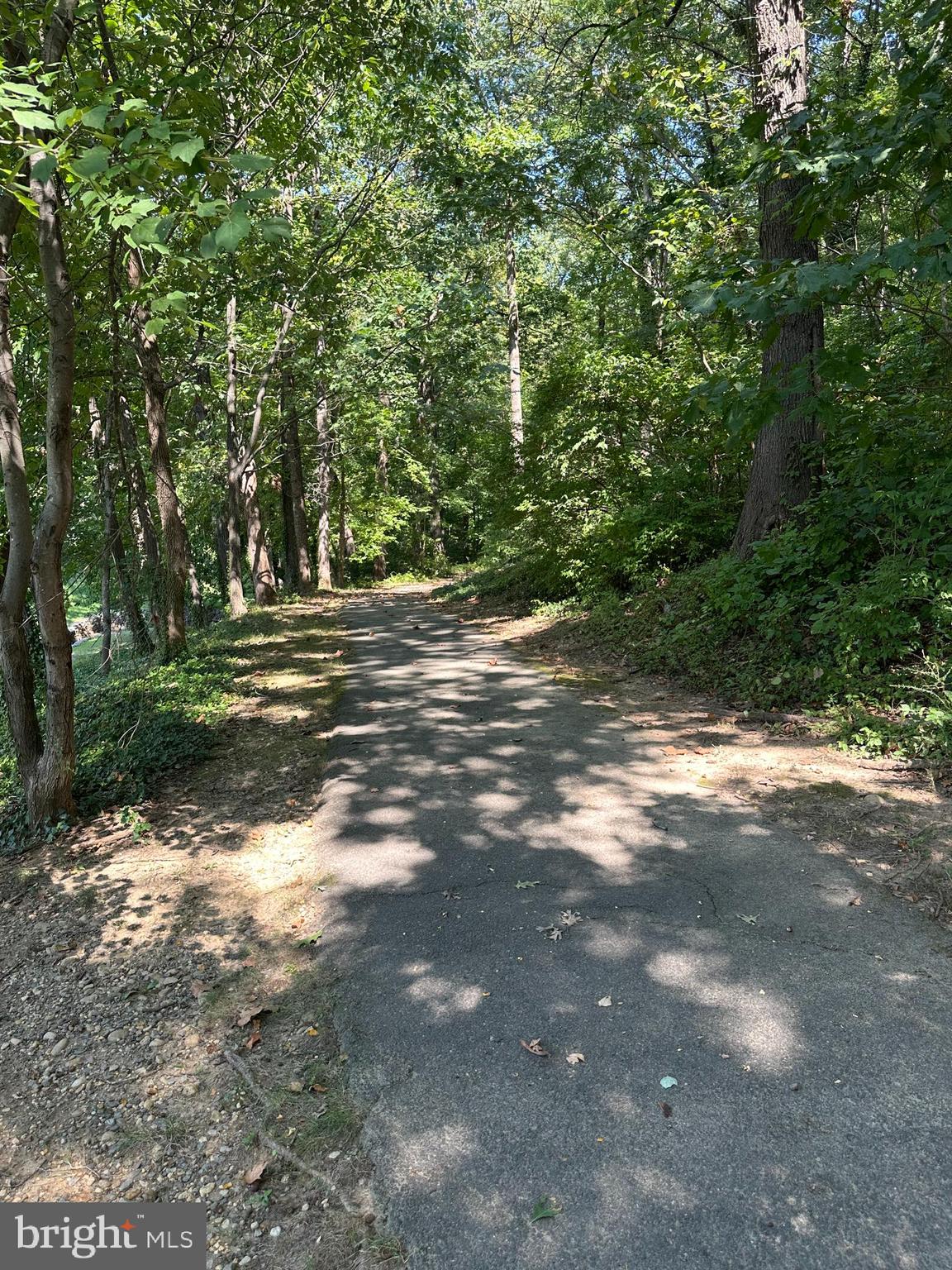 WINDY HILL AT LINCOLNIA - Residential