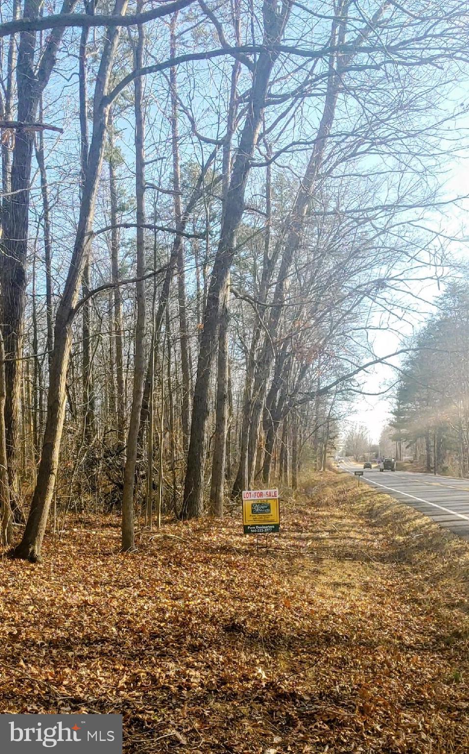 Lot 2 RIXEYVILLE RD. RTE 229, ADJ TO LOT 1