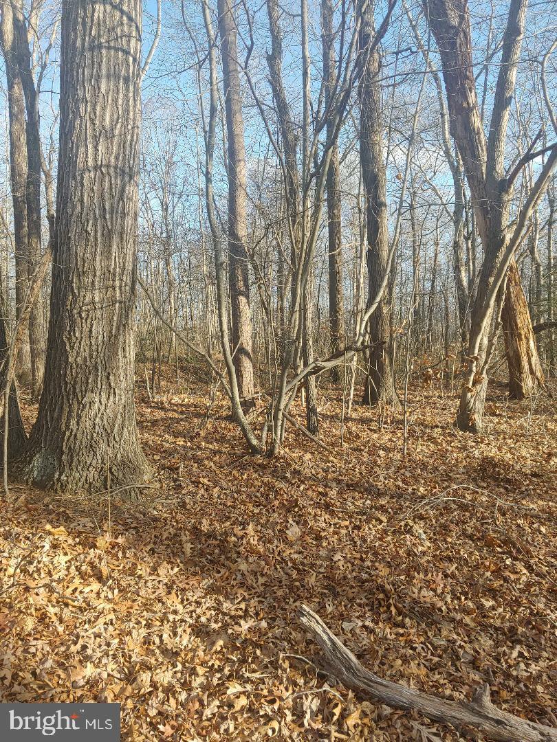 Lot 2 RIXEYVILLE RD. RTE 229, ADJ TO LOT 1