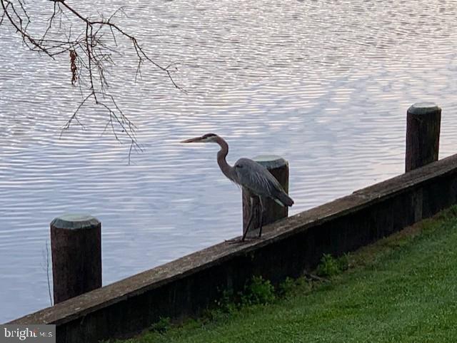 RIVERSIDE PINES - Residential