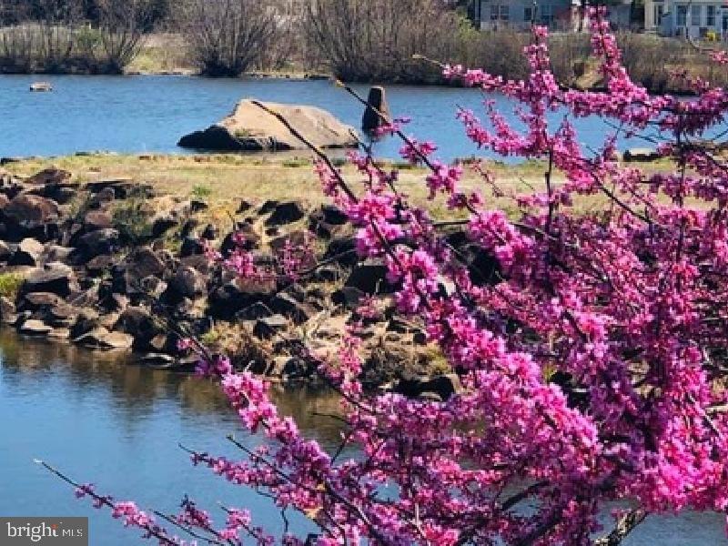 VIRGINIA OAKS - Residential