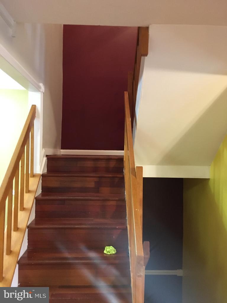 BONITA - Residential Lease