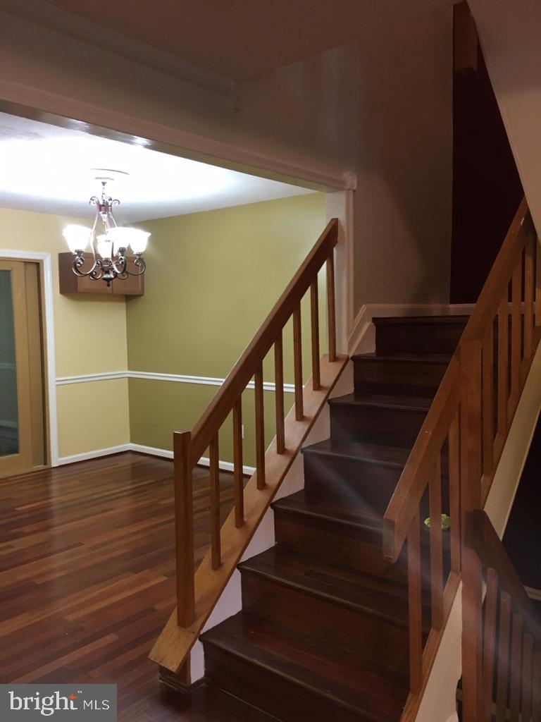 BONITA - Residential Lease