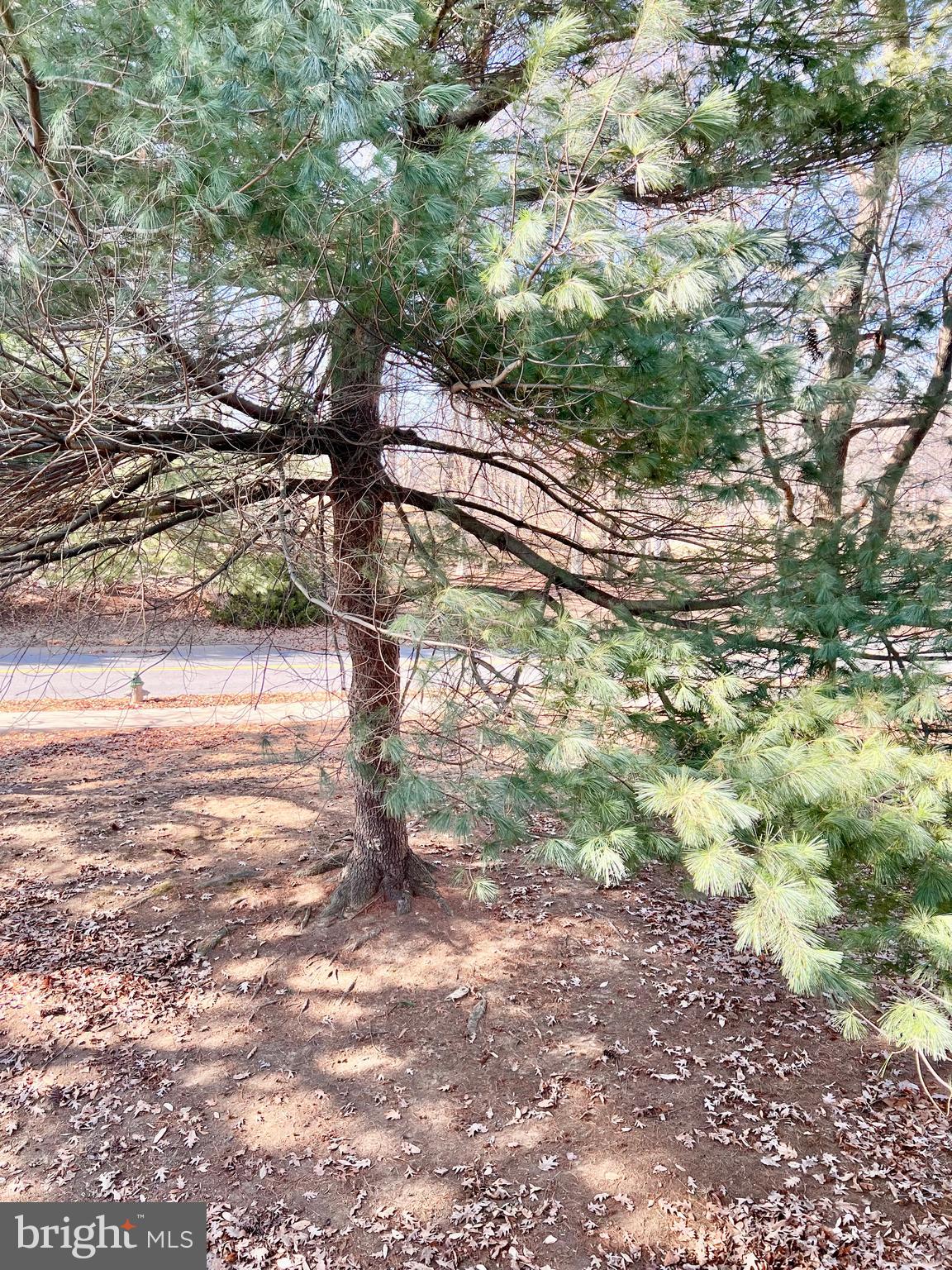 MONTGOMERY MUTUAL COOP - Residential