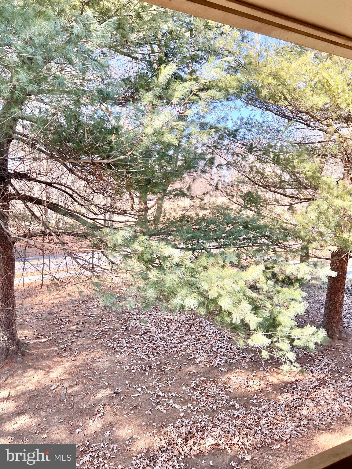 MONTGOMERY MUTUAL COOP - Residential