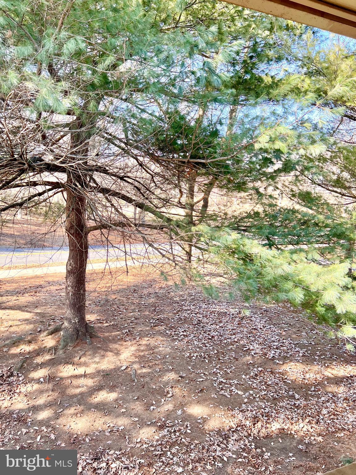 MONTGOMERY MUTUAL COOP - Residential