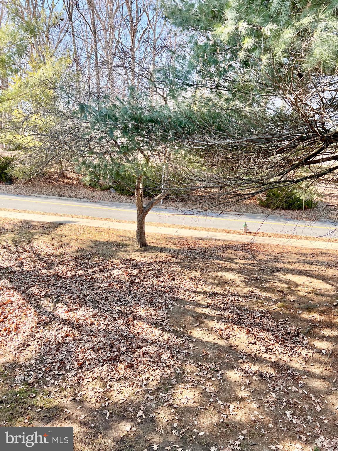 MONTGOMERY MUTUAL COOP - Residential