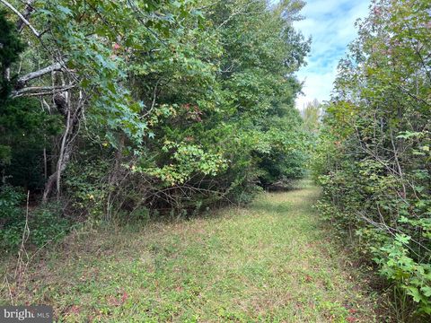 Vacant Land For Sale - 162-164 Powell Road<br/> WOODBINE, NJ 08270
