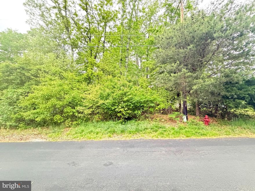 Buyer to perform all due diligence related to the purchase of the lot, including but not limited to zoning, utilities, and feasibility.
