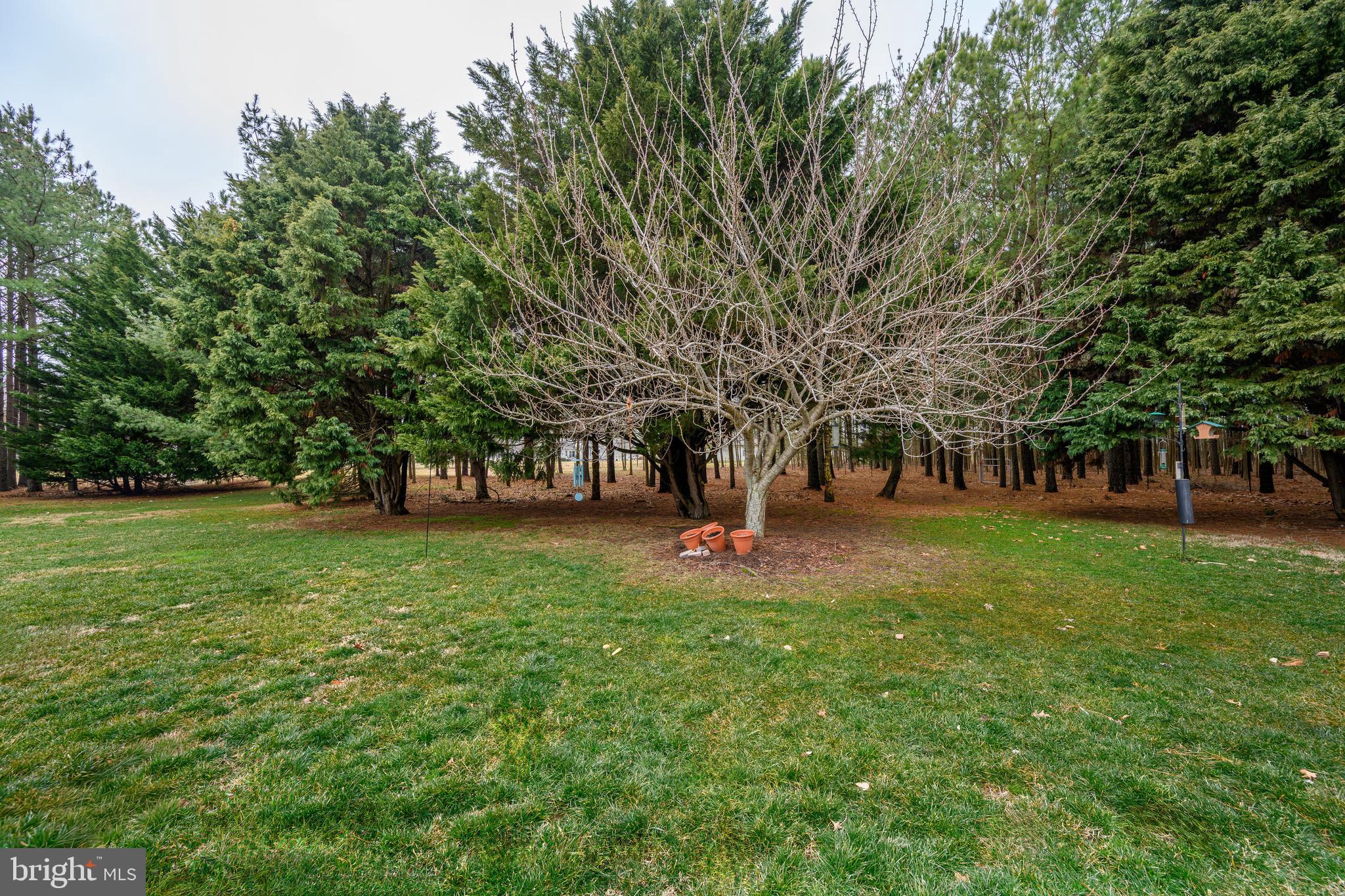 QUEEN ANNE'S ON THE WYE - Residential