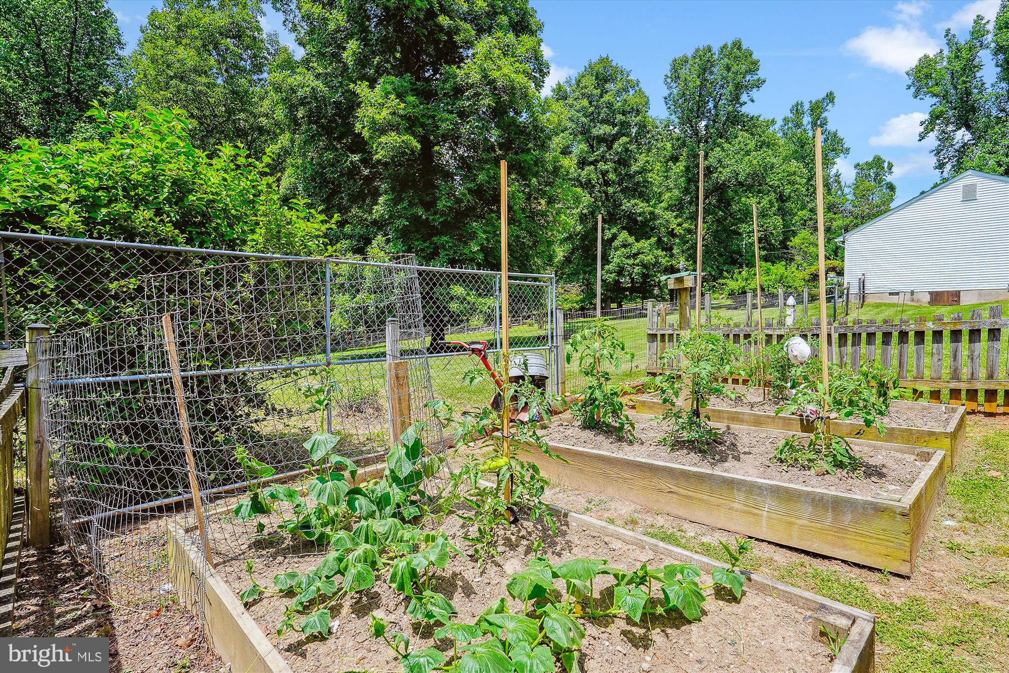 SKYLINE ORCHARDS - Residential