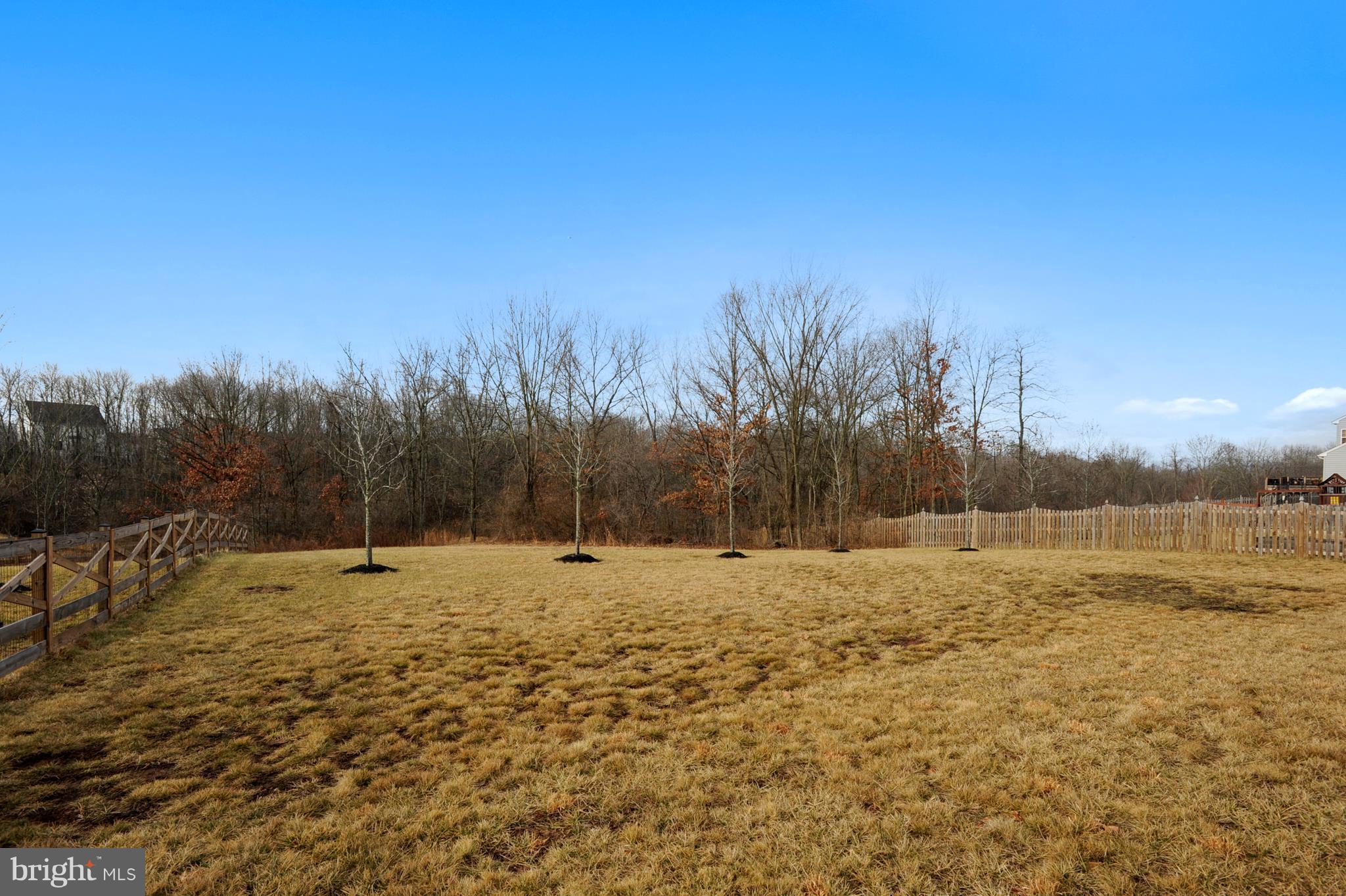 ELYSIAN HEIGHTS - Residential