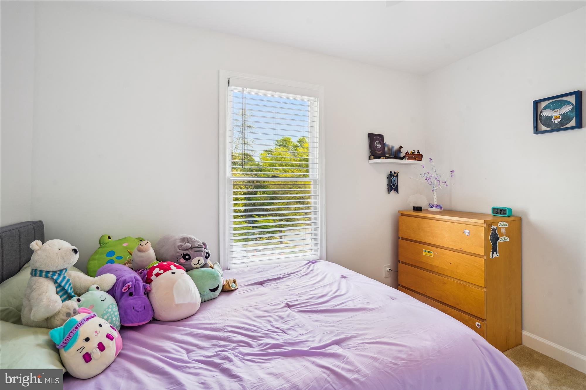 LITTLE ROCKY RUN - Residential