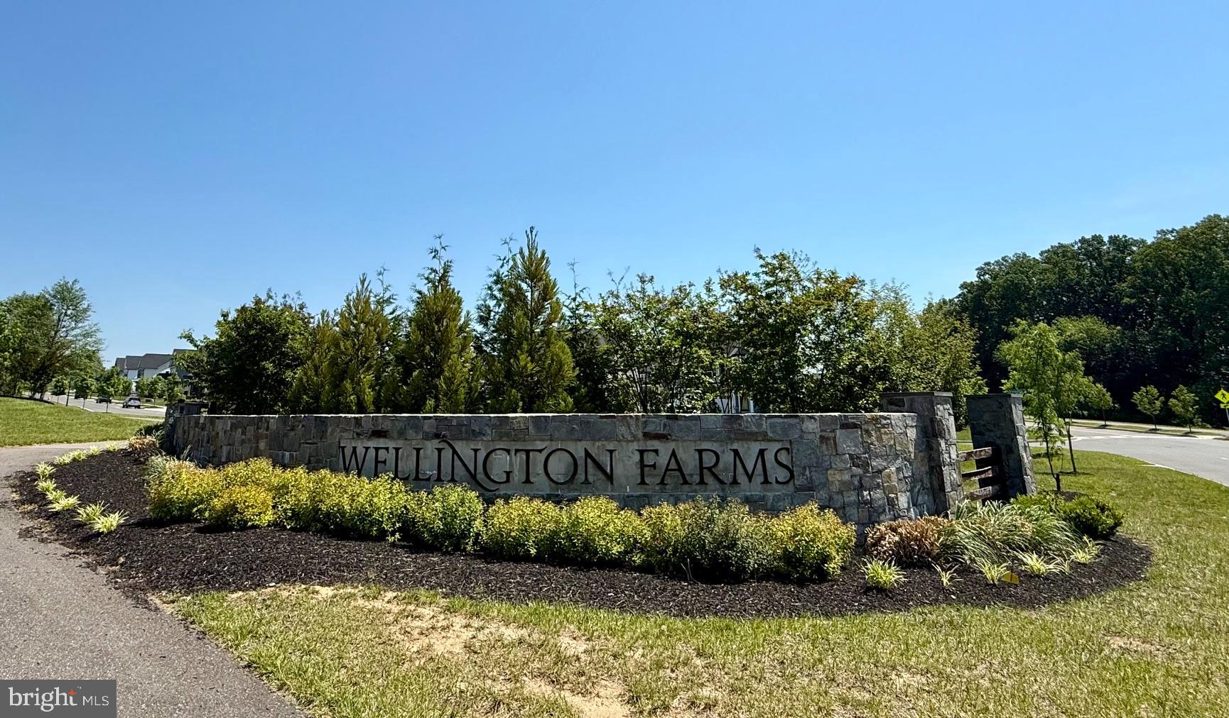 WELLINGTON FARMS - Residential