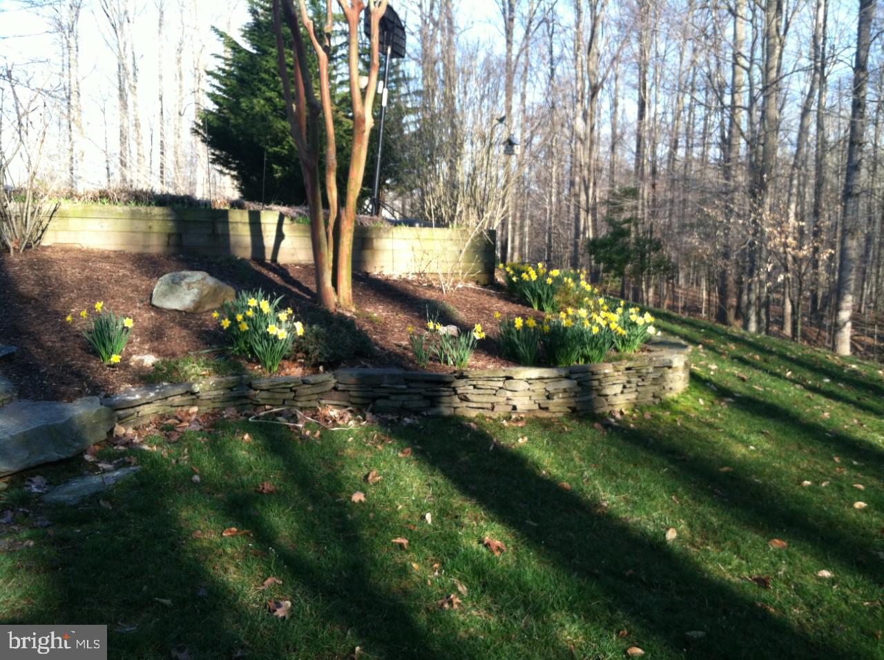 ESTATES AT ROSELAND - Residential