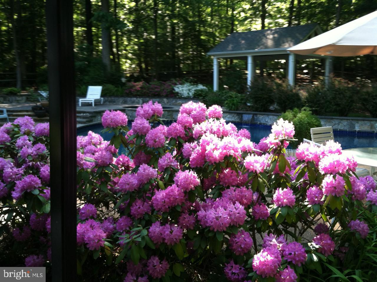 ESTATES AT ROSELAND - Residential