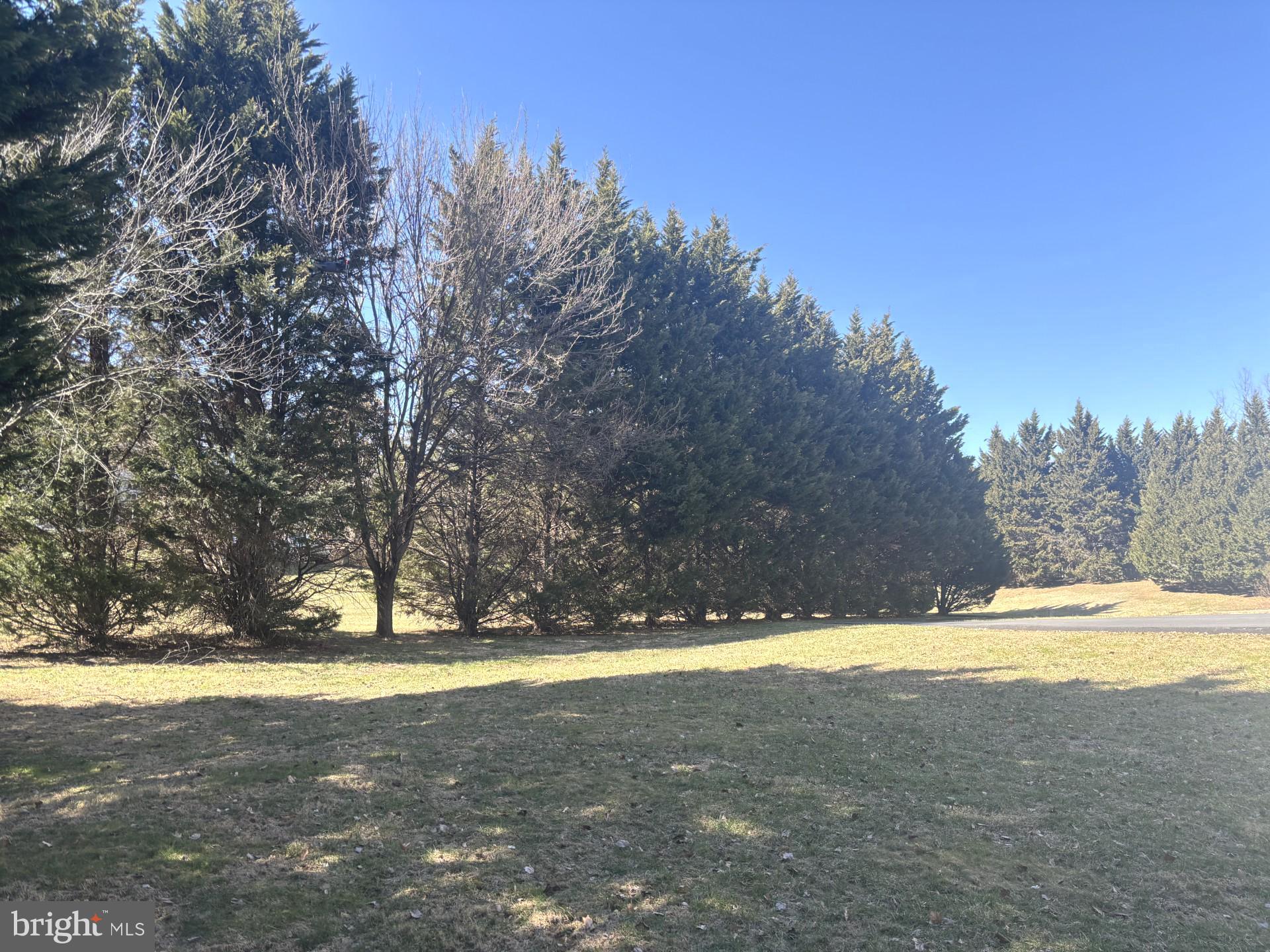 PINEY RUN MEADOW - Residential