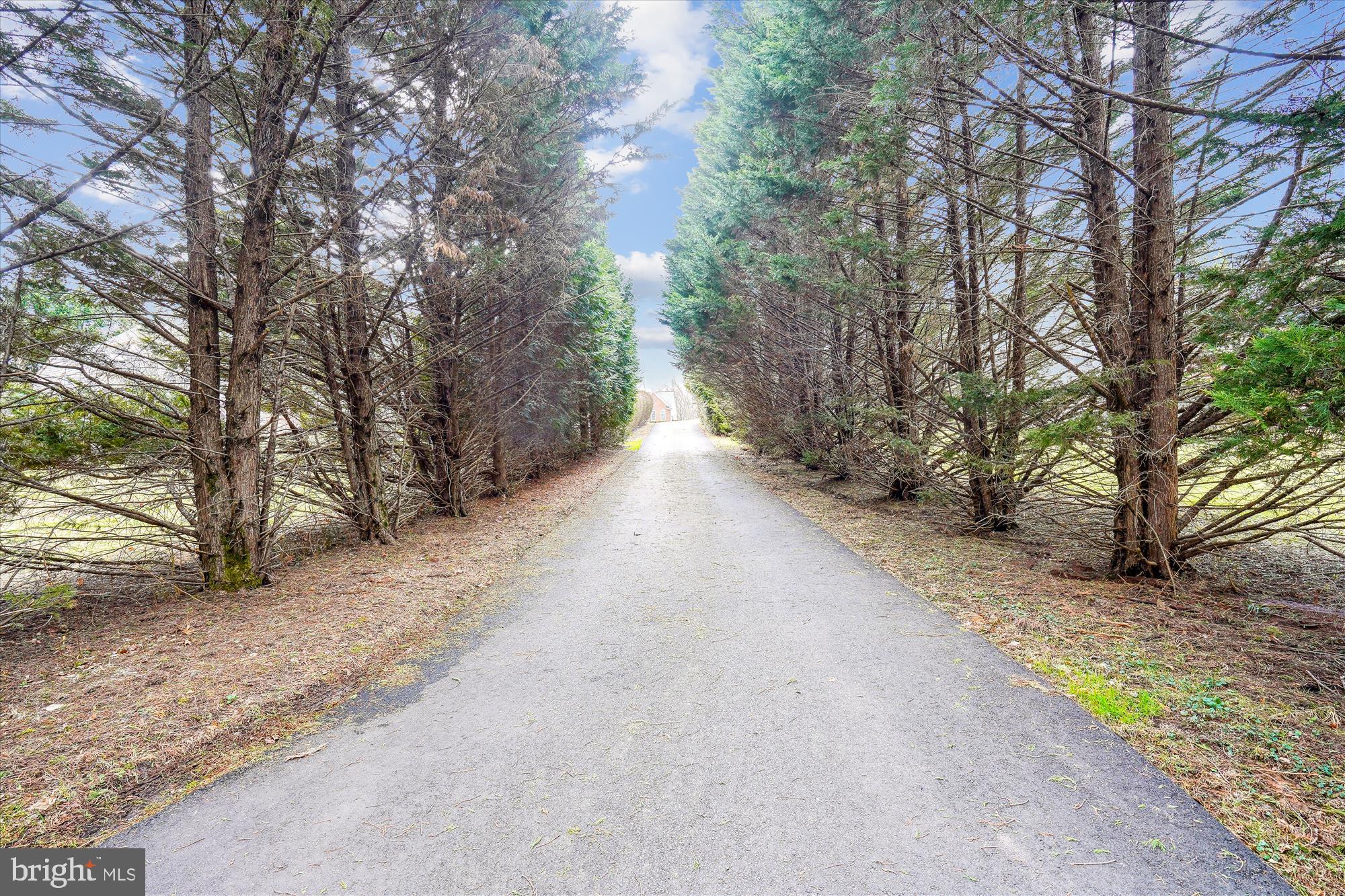 PINEY RUN MEADOW - Residential