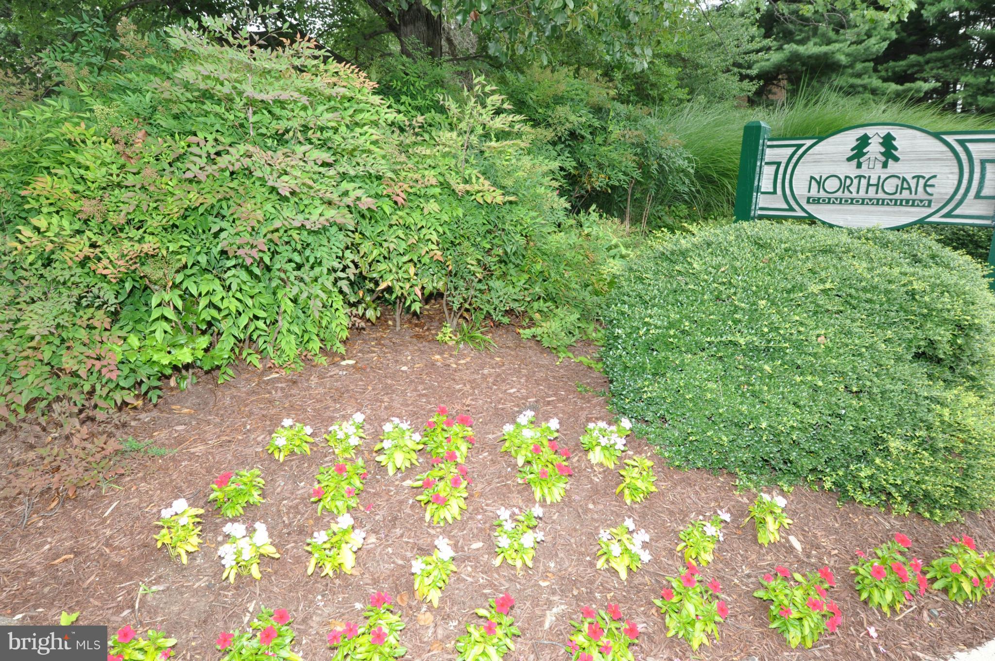 NORTHGATE - Residential Lease