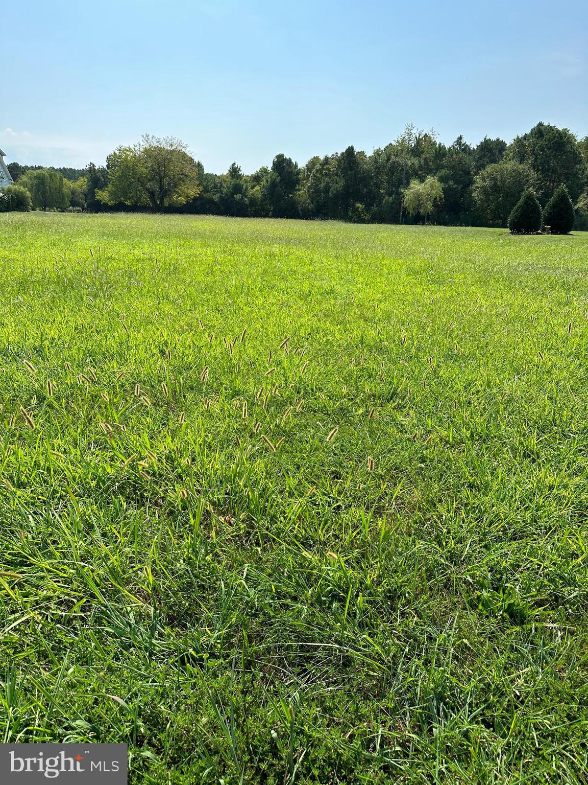 TILGHMAN ON CHESAPEAKE - Land