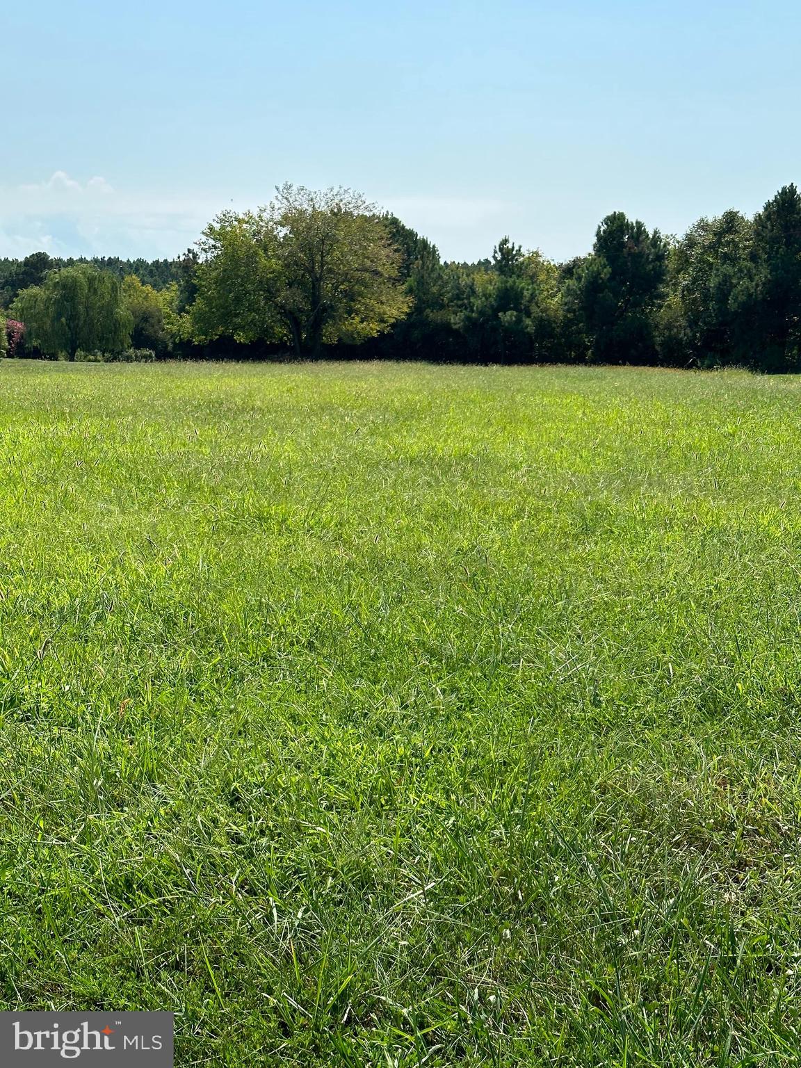 TILGHMAN ON CHESAPEAKE - Land