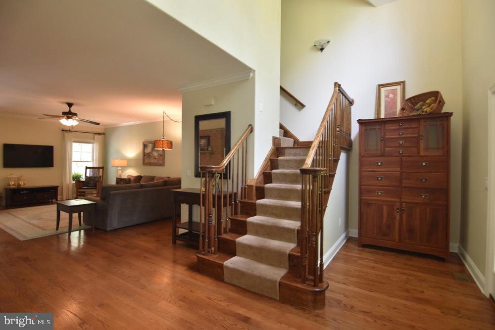 HOLLYWOOD - Residential