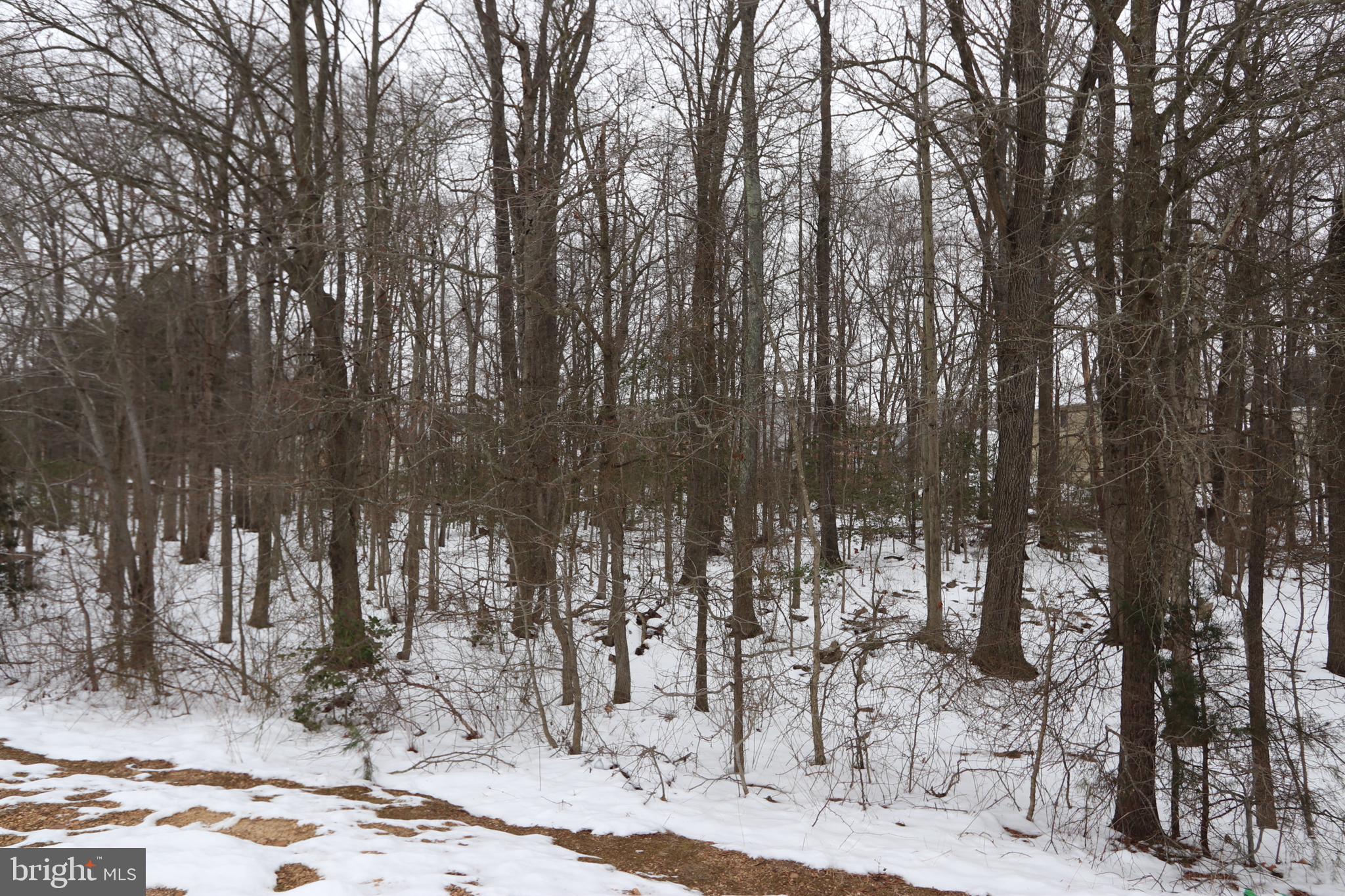 NONE AVAILABLE - Land