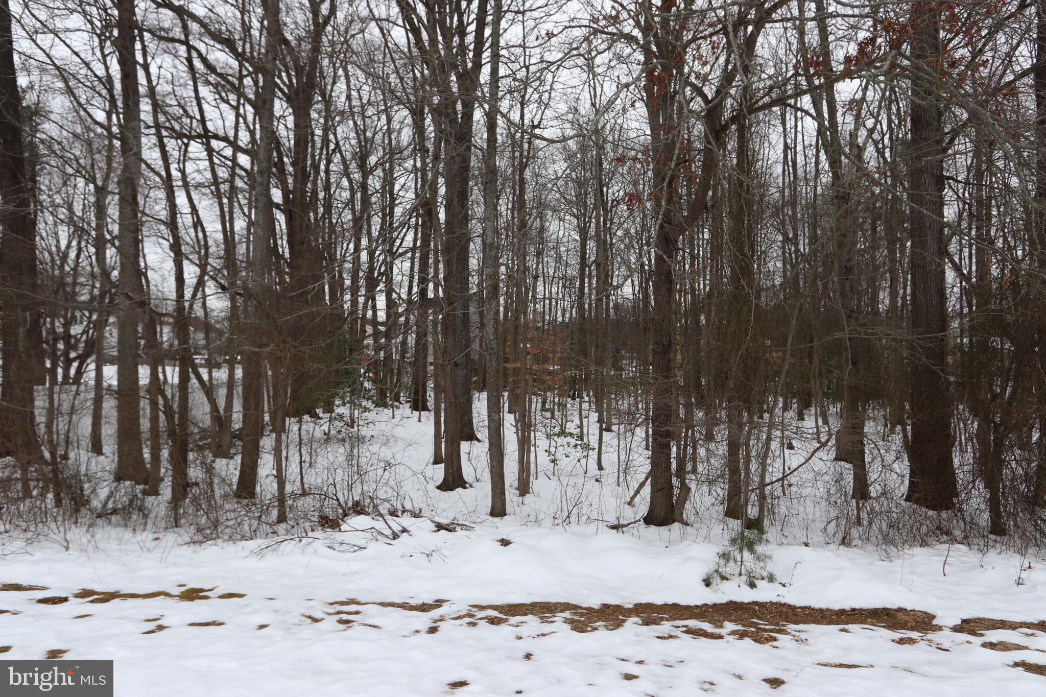 NONE AVAILABLE - Land