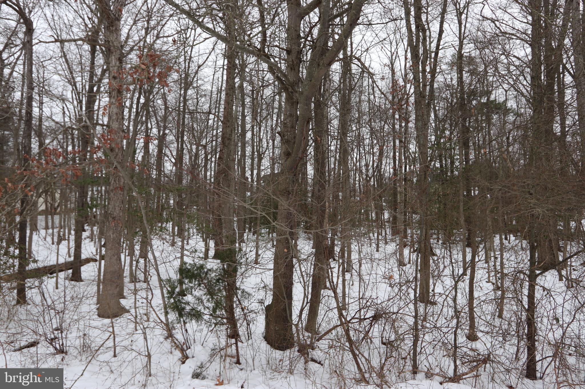 NONE AVAILABLE - Land