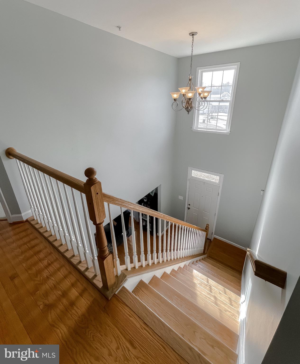 THE WOODS AT MYRTLE POINT - Residential