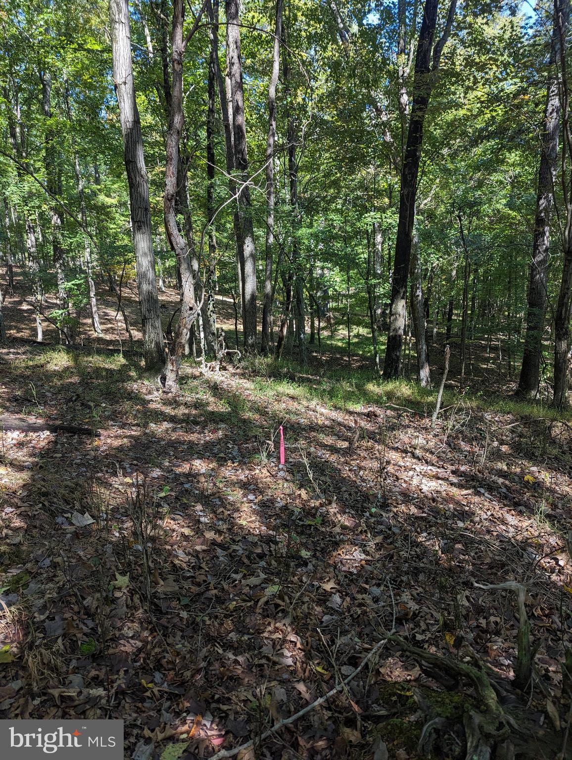 TWIN LAKES EAST - Land