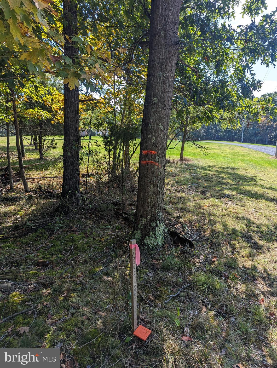 TWIN LAKES EAST - Land