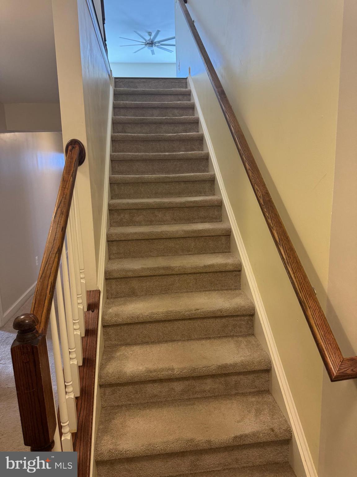 RESRV CHESTNUT RIDGE - Residential