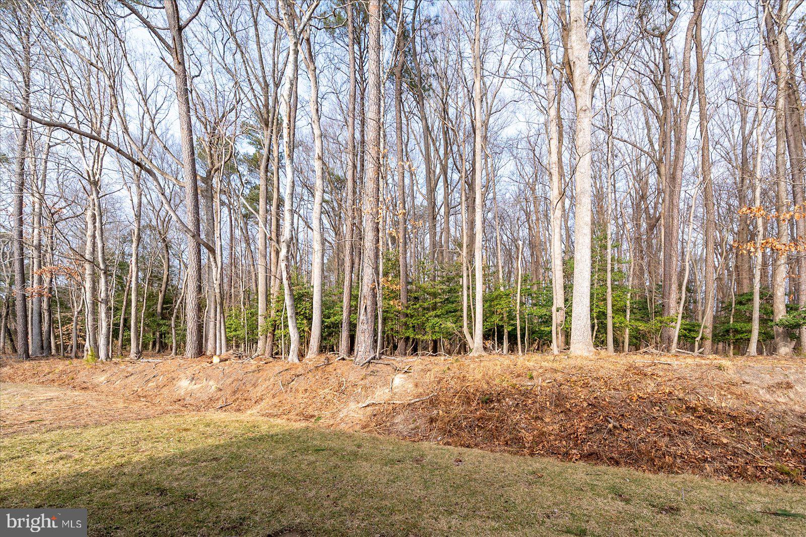 RIVER RUN - Residential