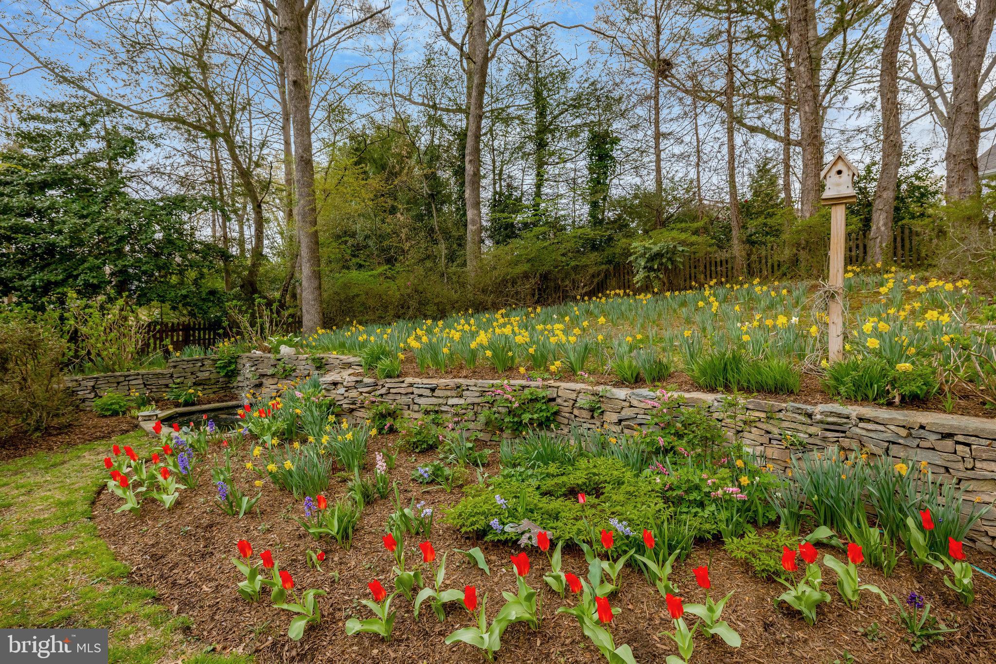CHESTERBROOK WOODS - Residential
