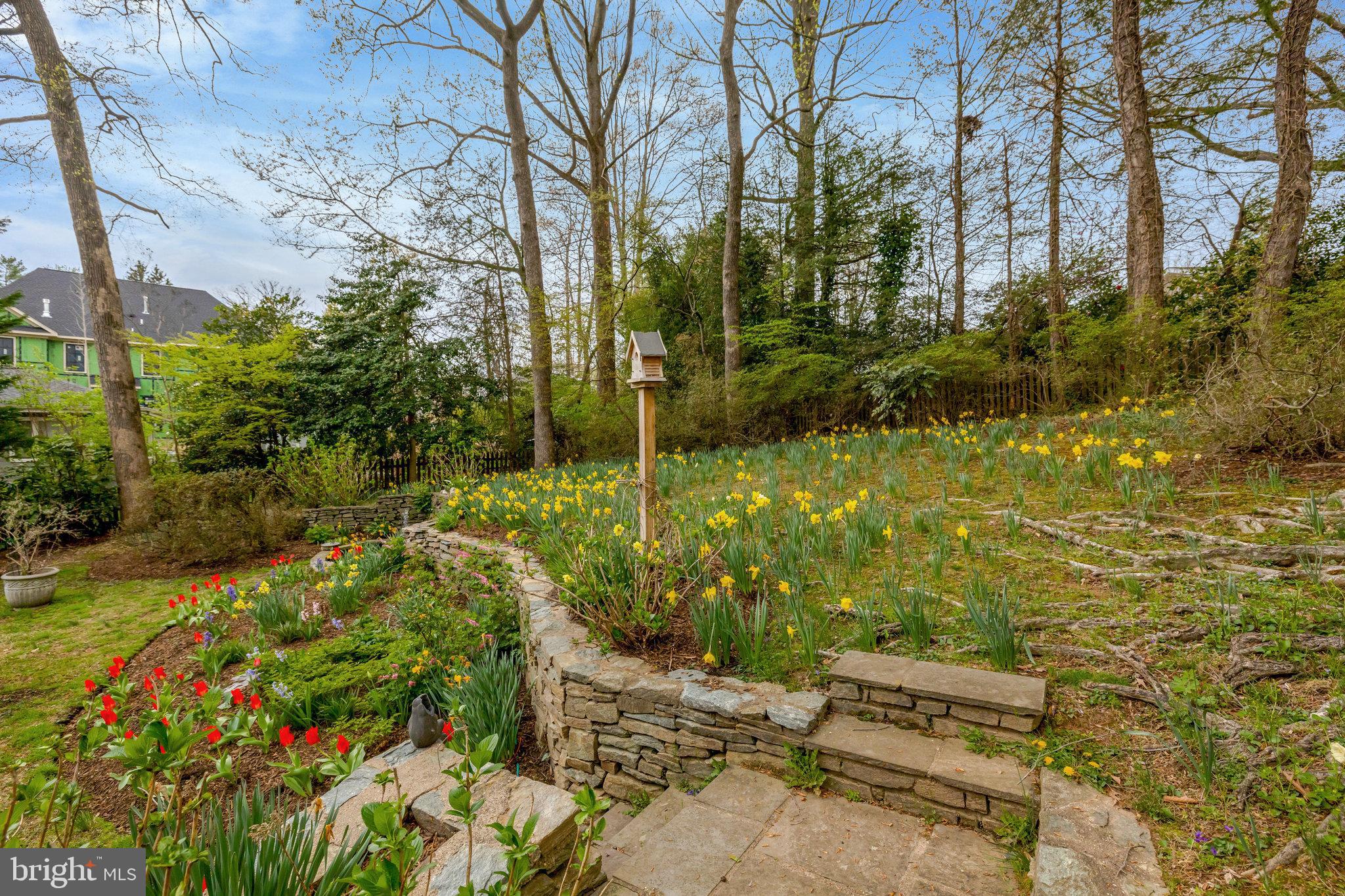 CHESTERBROOK WOODS - Residential