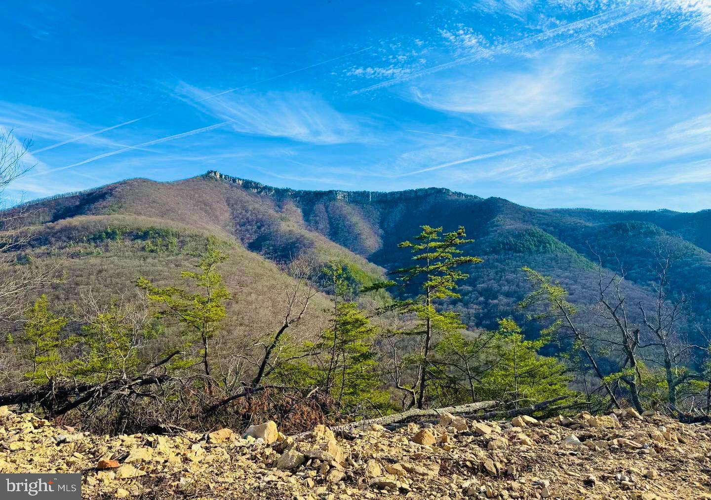 Breathtaking views! Unrestricted 60.19 Acres of land near the National Forest. Conveniently located near fishing, skiing and Dolly Sods. So many possibilities with this property! Don't miss the opportunity to own this property!