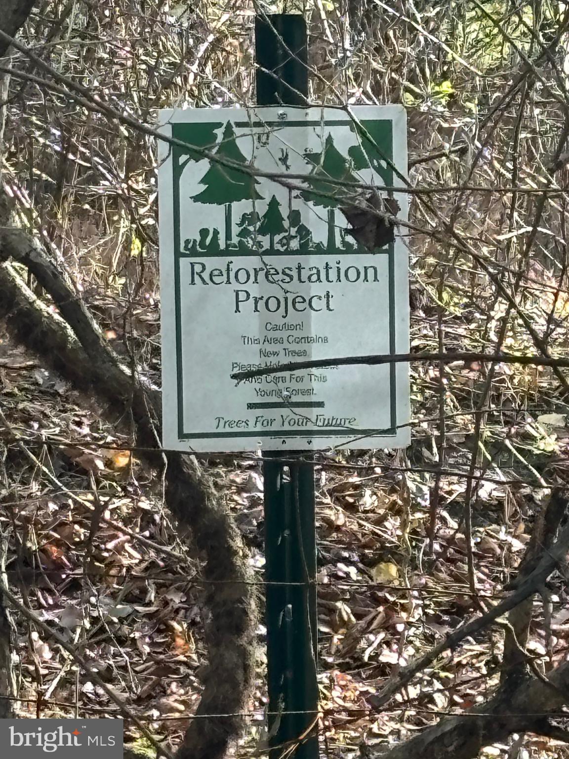 THE BLUFFS ELLICOTT MILL - Residential