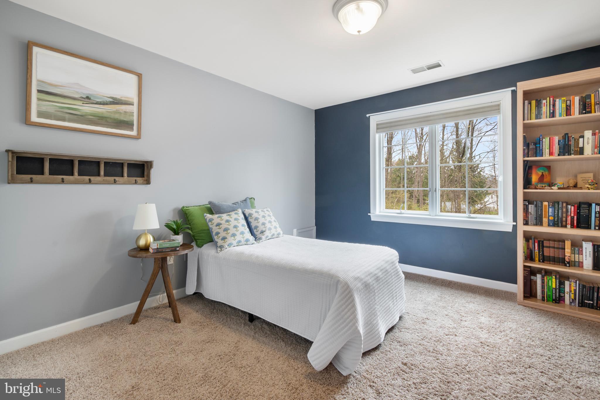 BLUE RIDGE ESTATES - Residential