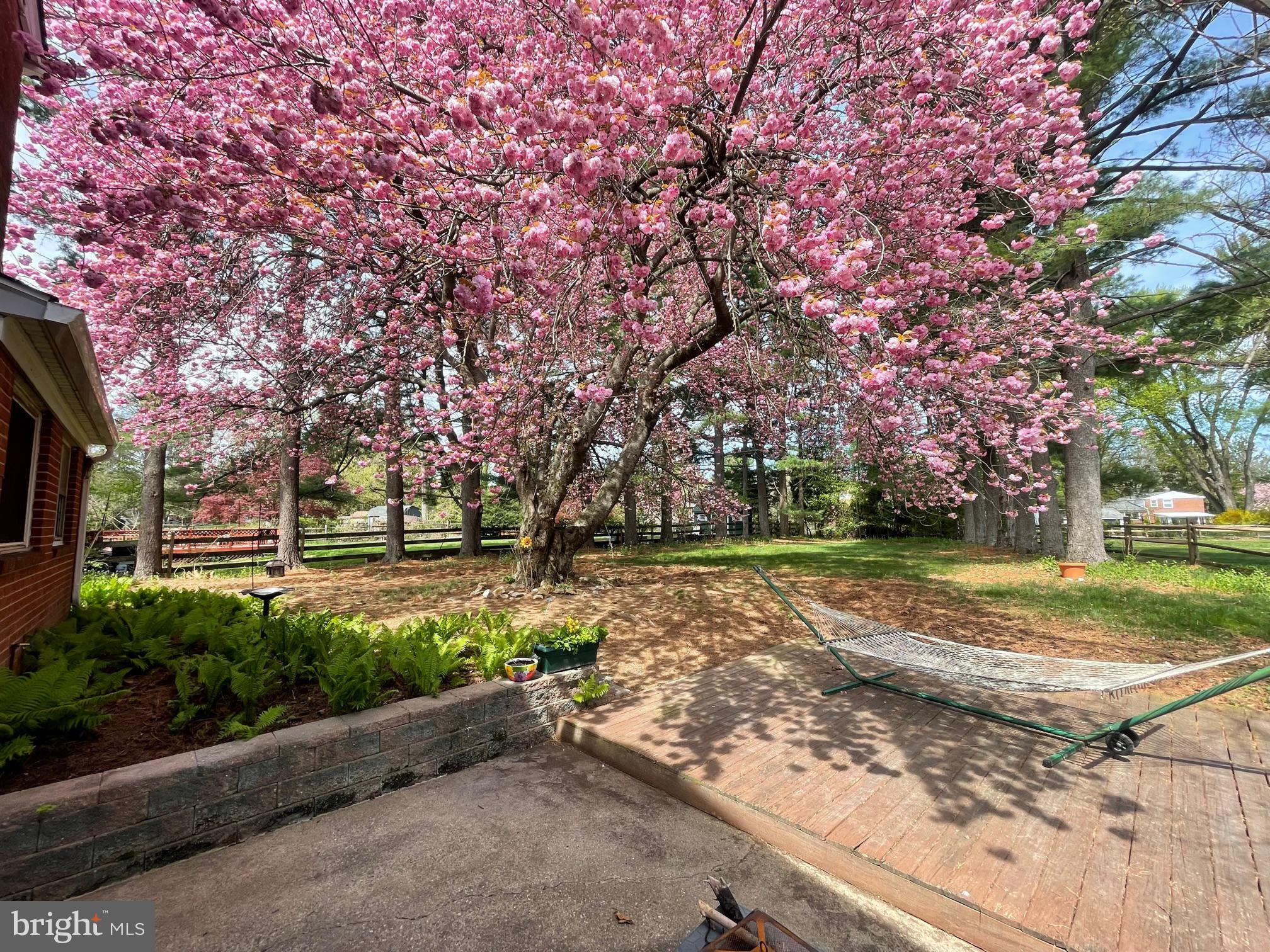 DOWNEAST AREA - Residential