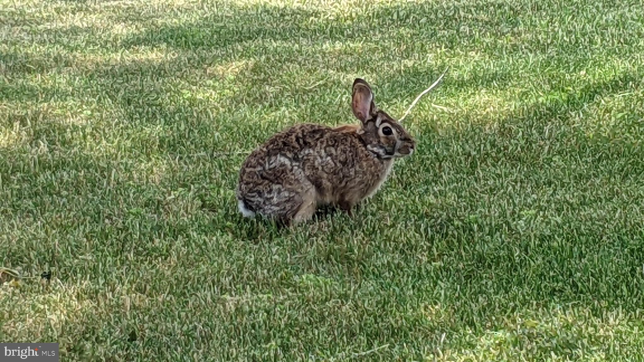WELLINGTON - Residential