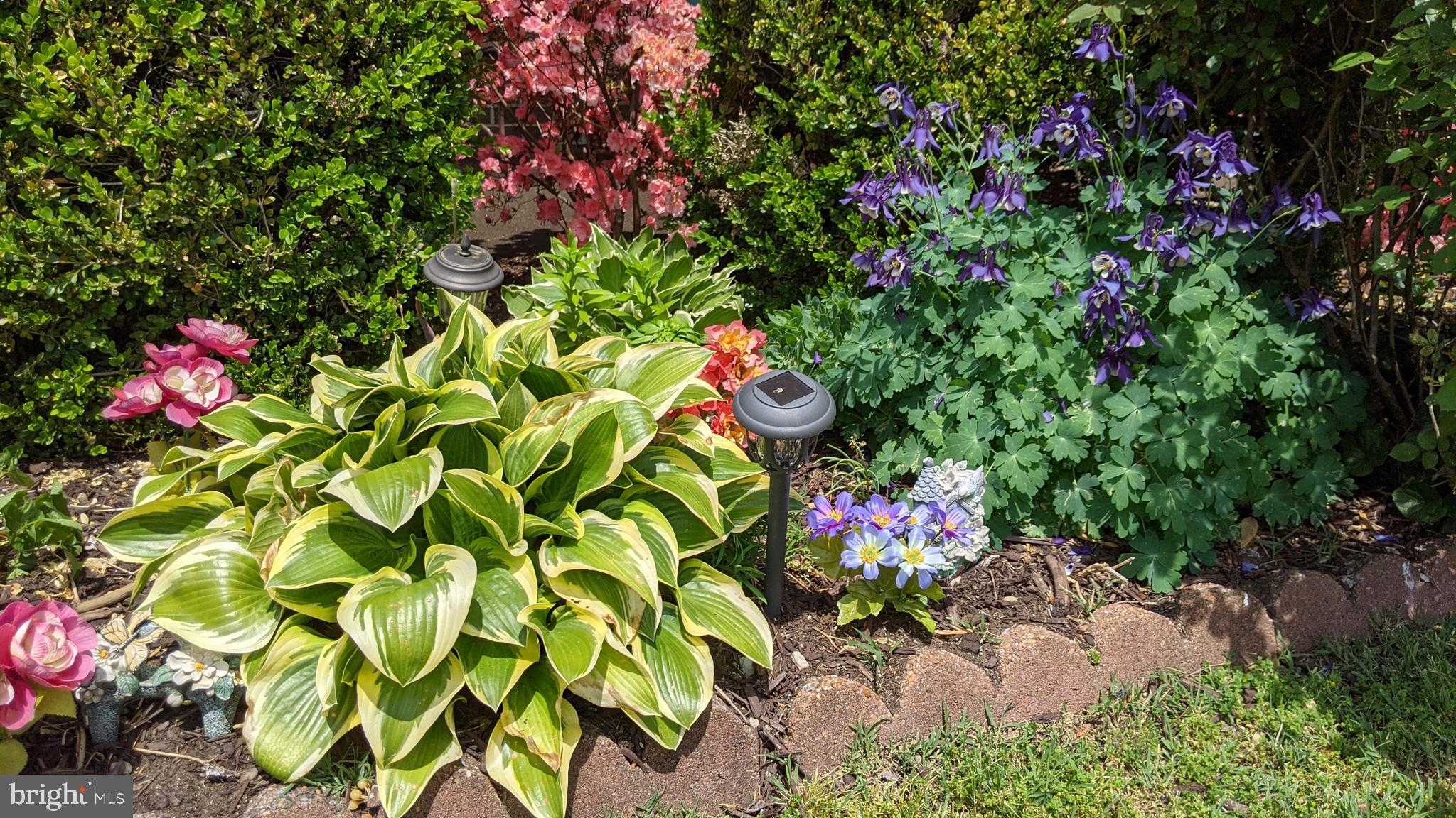 WELLINGTON - Residential