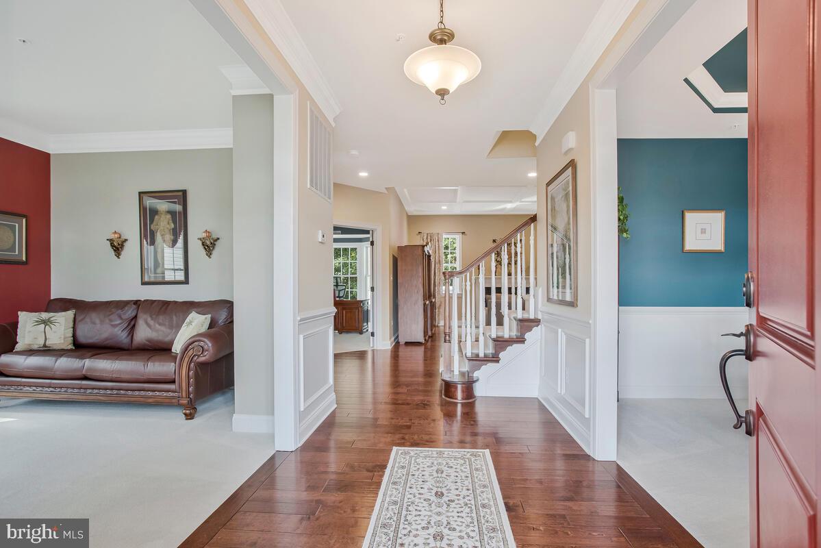 ARUNDEL FOREST - Residential