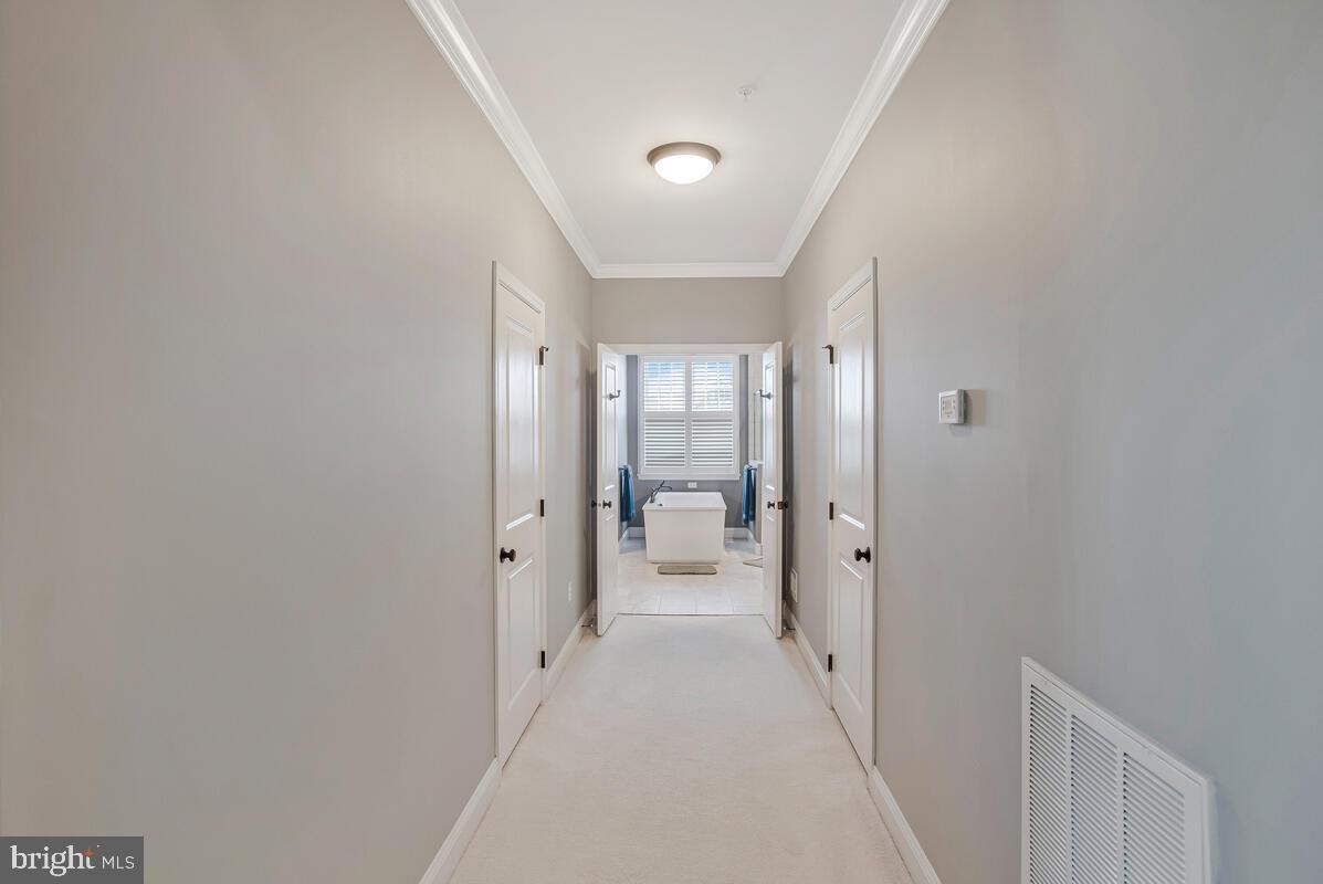 ARUNDEL FOREST - Residential