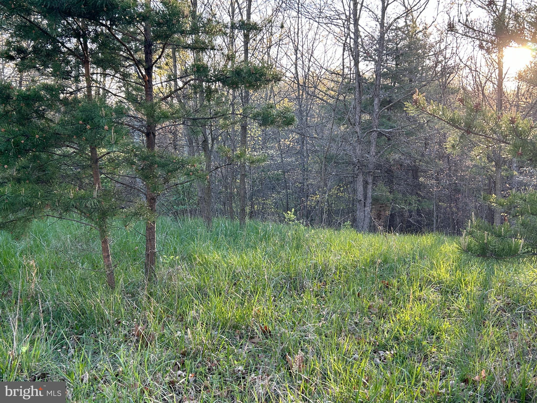 FRENCHBURG ESTATES - Land