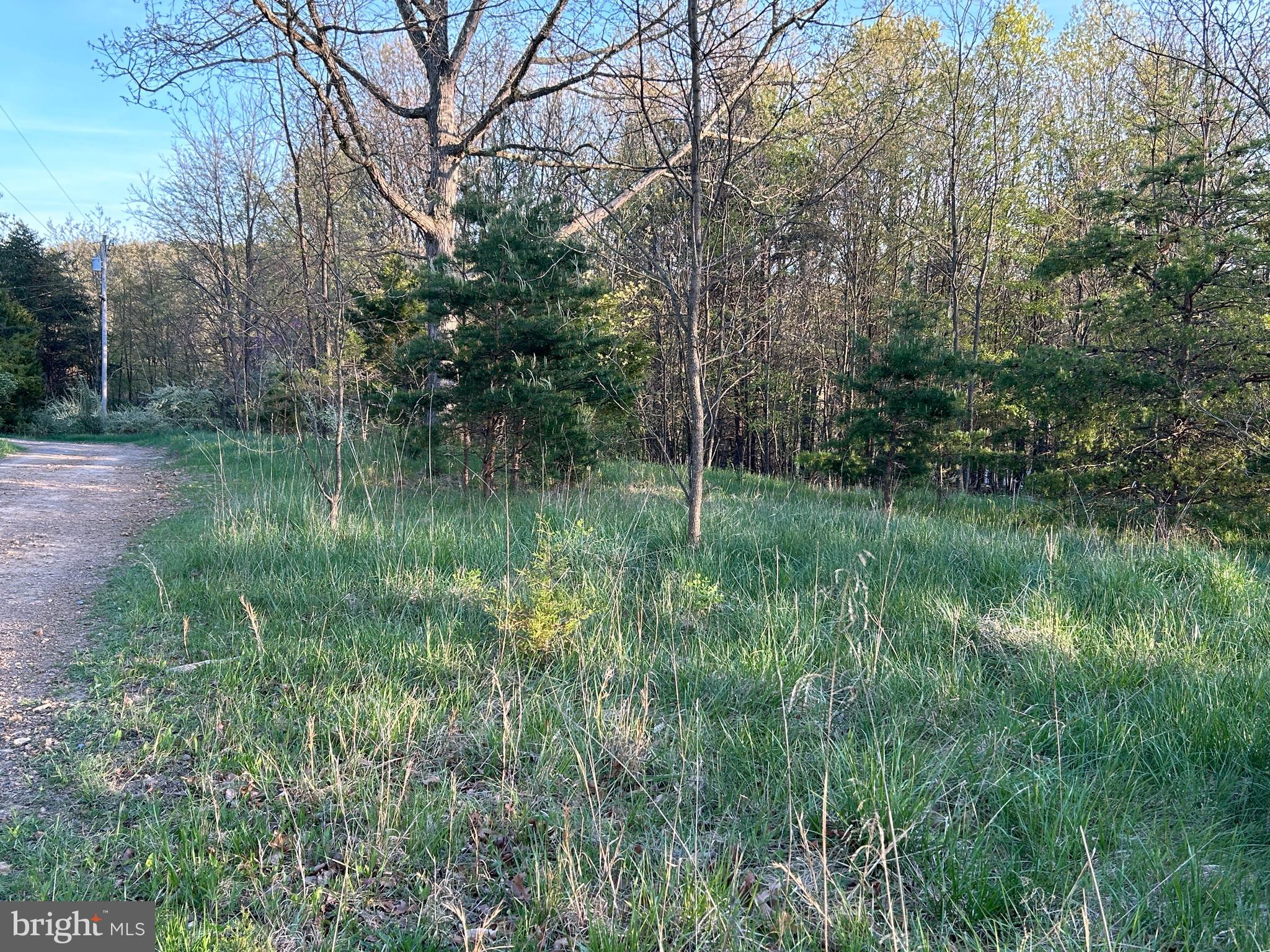 FRENCHBURG ESTATES - Land